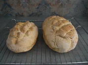 Sesambrot - Rezept - Bild Nr. 5835
