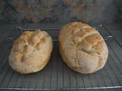 Sesambrot - Rezept - Bild Nr. 5835