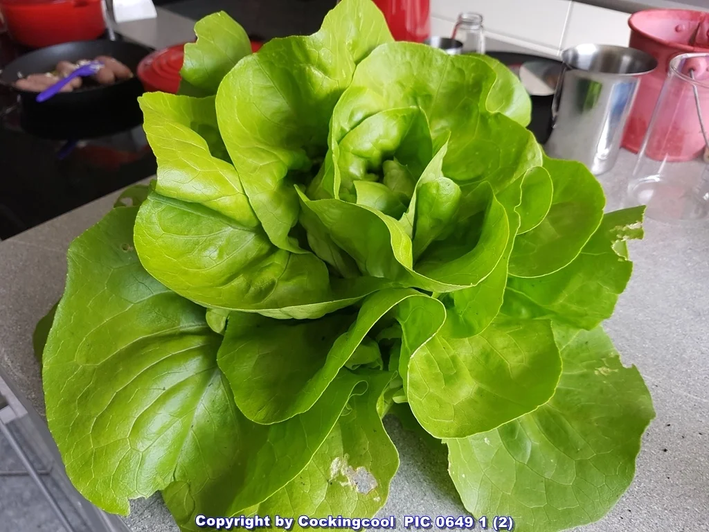 Einfach nur Salat (naja alles aus dem Garten) mit Brot - Rezept - Bild Nr. 5846