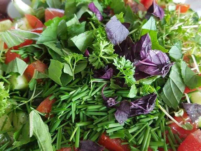 Einfach nur Salat (naja alles aus dem Garten) mit Brot - Rezept - Bild Nr. 5856