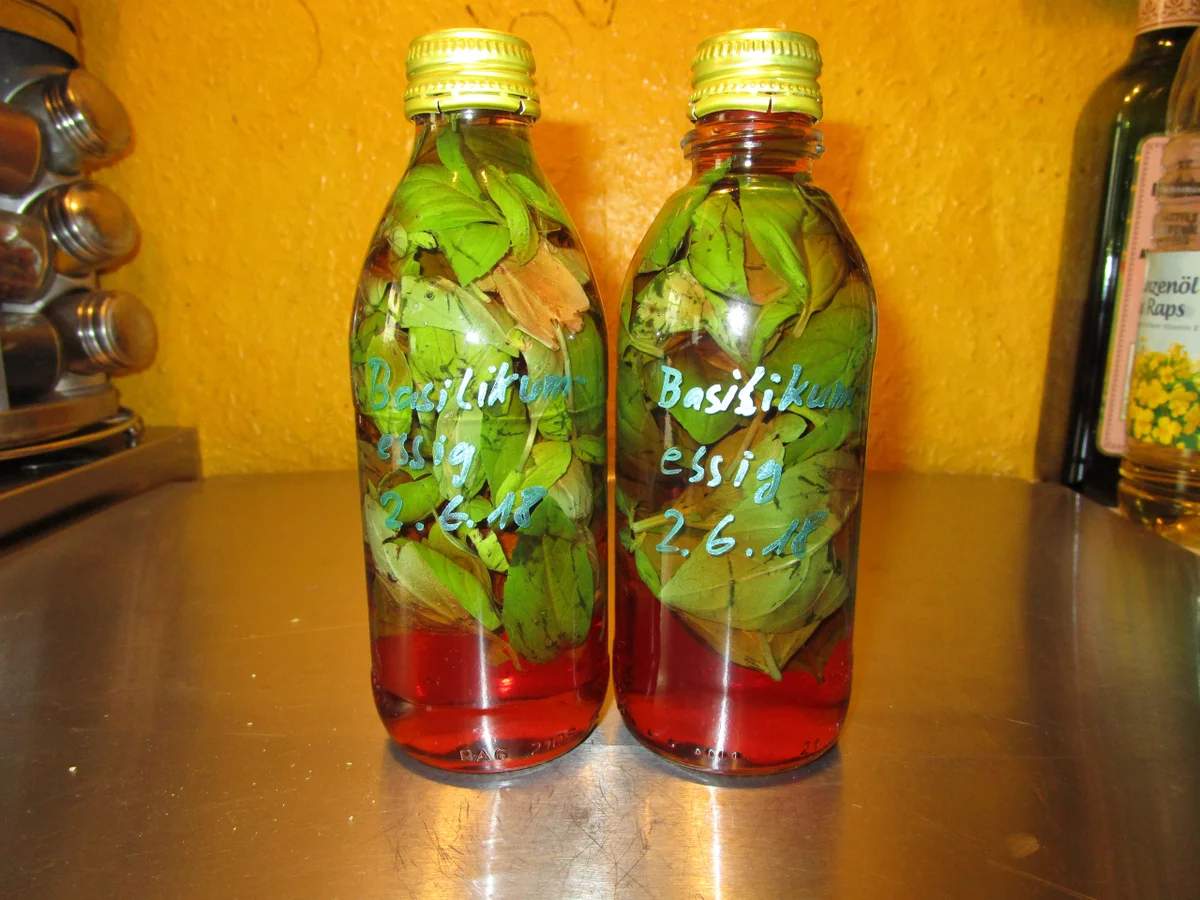 Basilikumessig - Rezept - Bild Nr. 5843