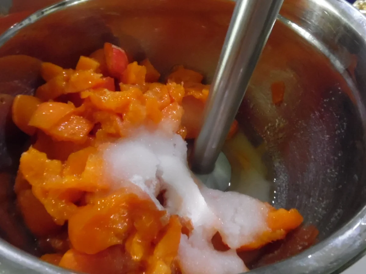 Rezept: Aprikosen-Parfait mit "Schwipps" und Erdbeer-Soße Bild Nr. 5851 Aprikosen-Parfait mit "Schwipps" und Erdbeer-Soße - Rezept - Bild Nr. 5851