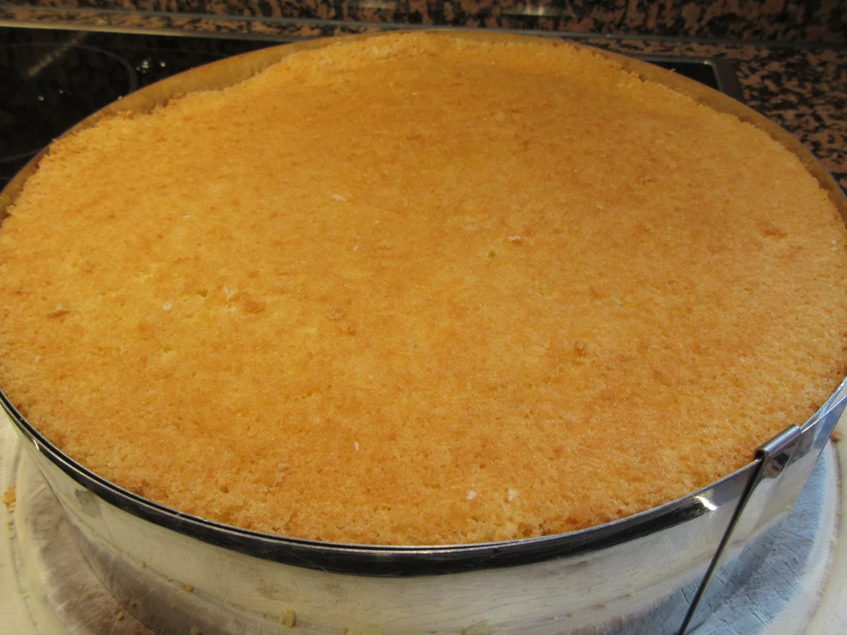 Backen: Himbeer-Schoko-Creme-Torte - Rezept - Bild Nr. 5862