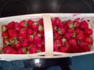 Erdbeer Kokos Mohn Marmelade - Rezept - Bild Nr. 5886
