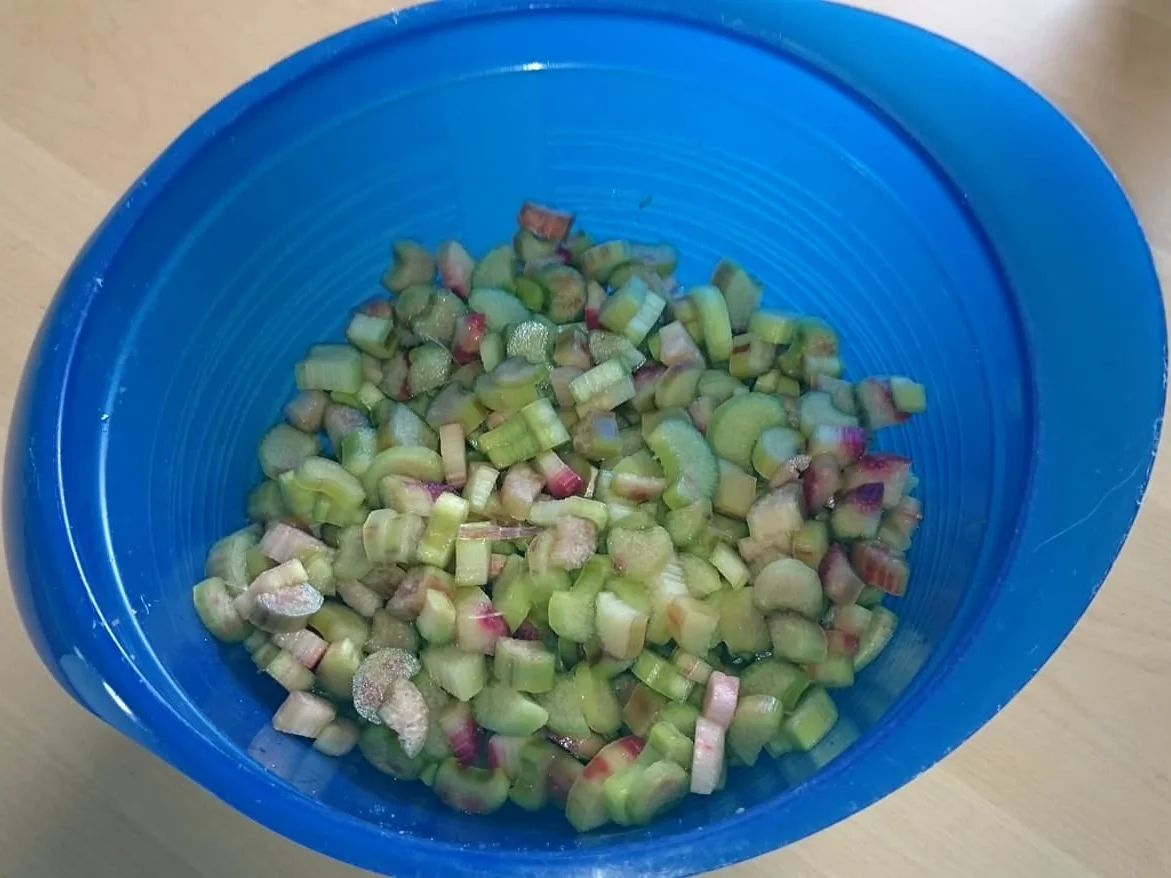 Rhabarber-Kuchen mit Baiserhaube - Rezept - Bild Nr. 5886