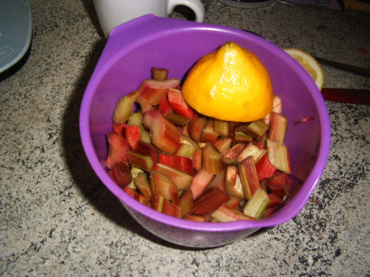 Rhabarber-Curd - Rezept - Bild Nr. 5889