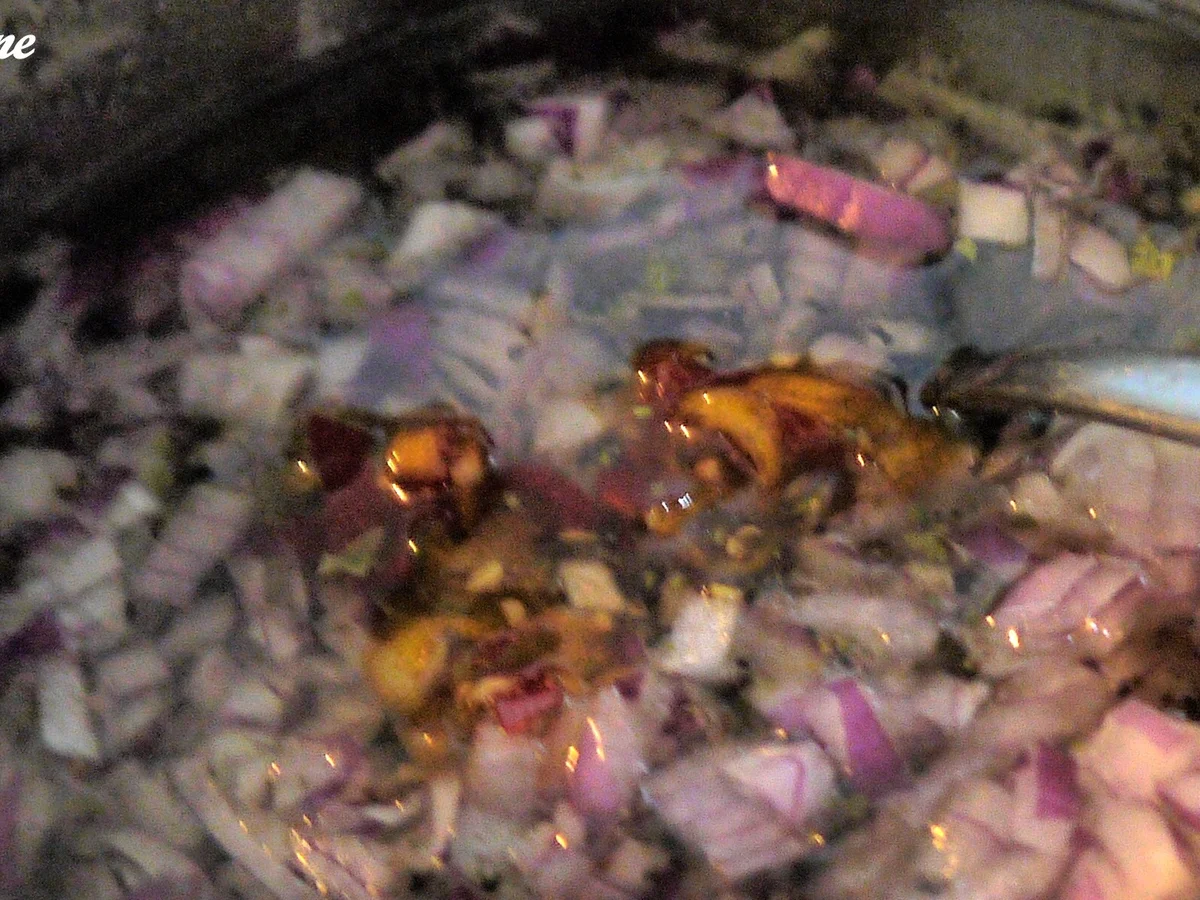 Bulgursalat mit scharfem Halloumi - Rezept - Bild Nr. 5888