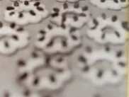 Spanische Safrankekse - Rezept