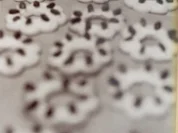 Spanische Safrankekse - Rezept