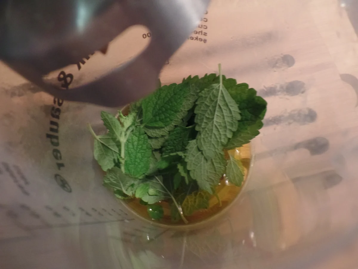 Flammkuchen mit  Rinder-Carpaccio - Rezept - Bild Nr. 5891