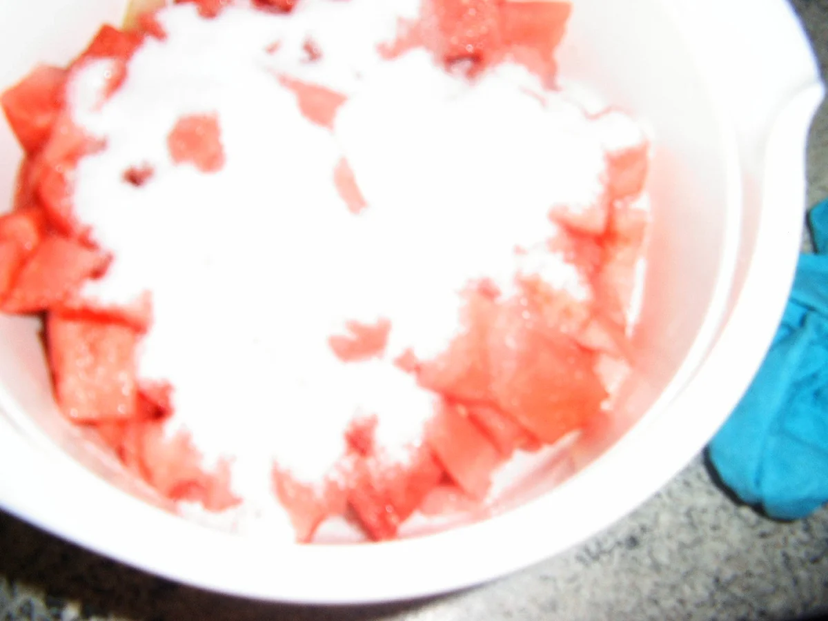 Melonen-Sirup - Rezept - Bild Nr. 5893