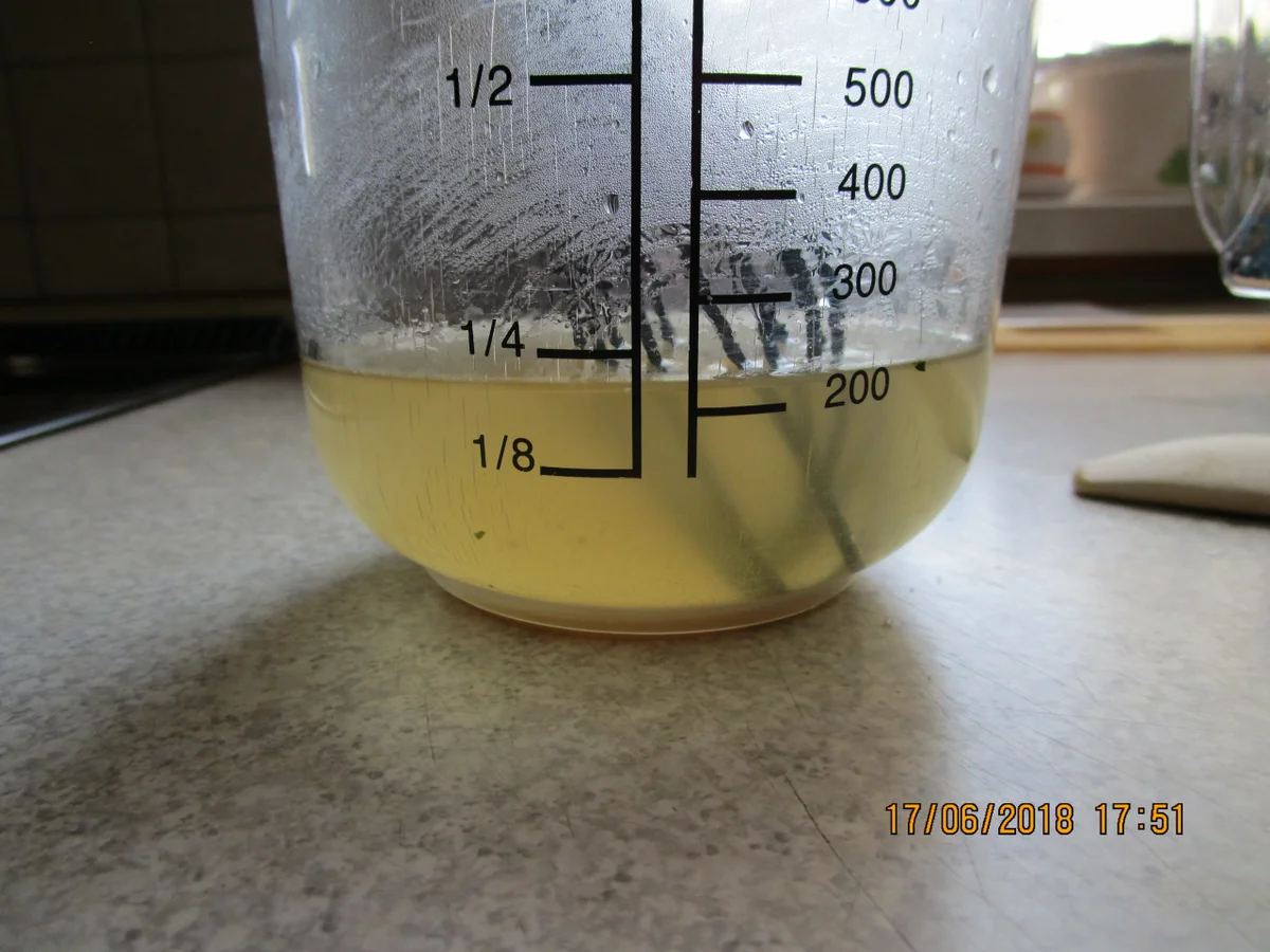 Schinken-Cannelloni mit Spargel - Rezept - Bild Nr. 5918