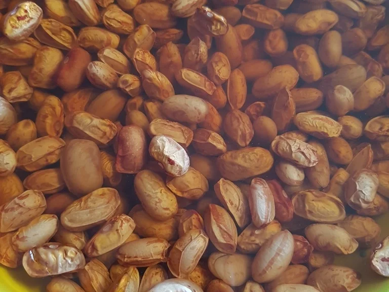 Rezept: Wachtelbohnen Salat heute als Hauptspeise Bild Nr. 5912 Wachtelbohnen Salat heute als Hauptspeise - Rezept - Bild Nr. 5912