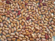 Rezept: Wachtelbohnen Salat heute als Hauptspeise Bild Nr. 5916 Wachtelbohnen Salat heute als Hauptspeise - Rezept - Bild Nr. 5916