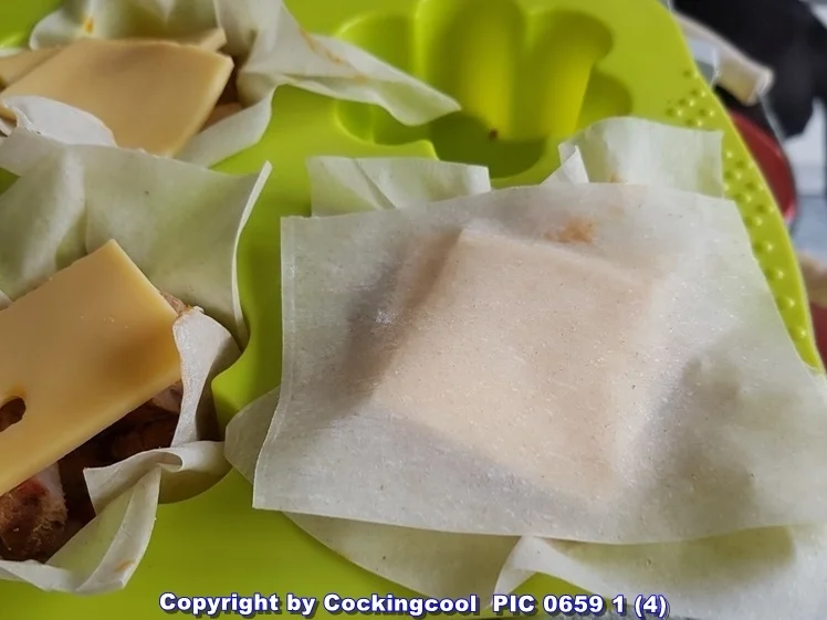 Filoteig für die Reste machen aus ihnen das Beste - Rezept - Bild Nr. 5926