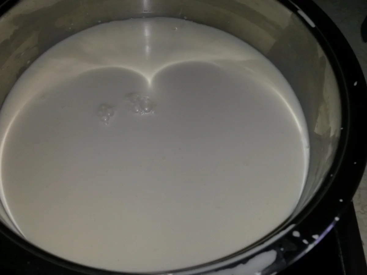 Cremeschnitten umhüllt von Blätterteig - Rezept - Bild Nr. 5940