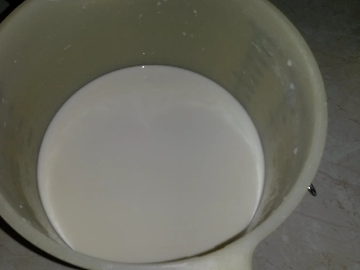 Cremeschnitten umhüllt von Blätterteig - Rezept - Bild Nr. 5942