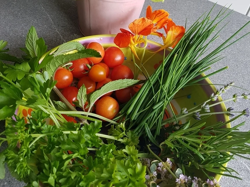 Couscous Salat - Rezept - Bild Nr. 5958