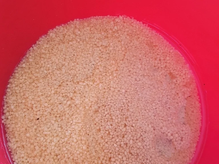 Couscous Salat - Rezept - Bild Nr. 5959