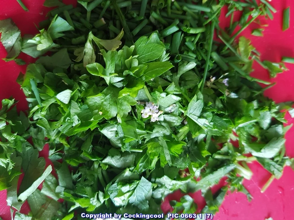 Couscous Salat - Rezept - Bild Nr. 5964