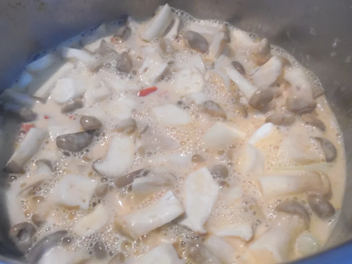 Fisch-Kokos-Curry (scharf) mit Jasminreis und Chapati - Rezept - Bild Nr. 5975