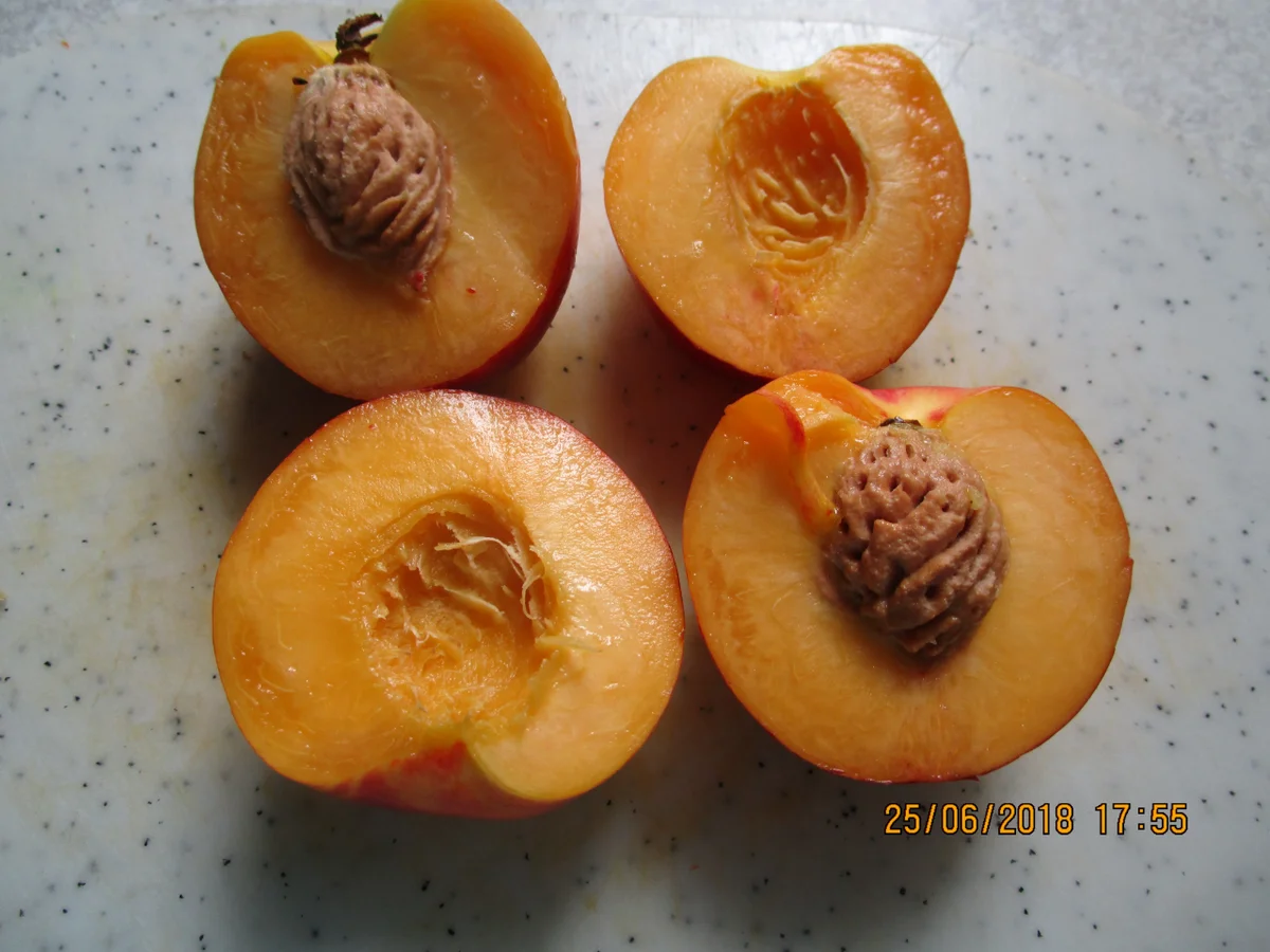 Rezept: Gemüse-Curry mit Nektarinen und Schweinelachs Bild Nr. 5967 Gemüse-Curry mit Nektarinen und Schweinelachs - Rezept - Bild Nr. 5967