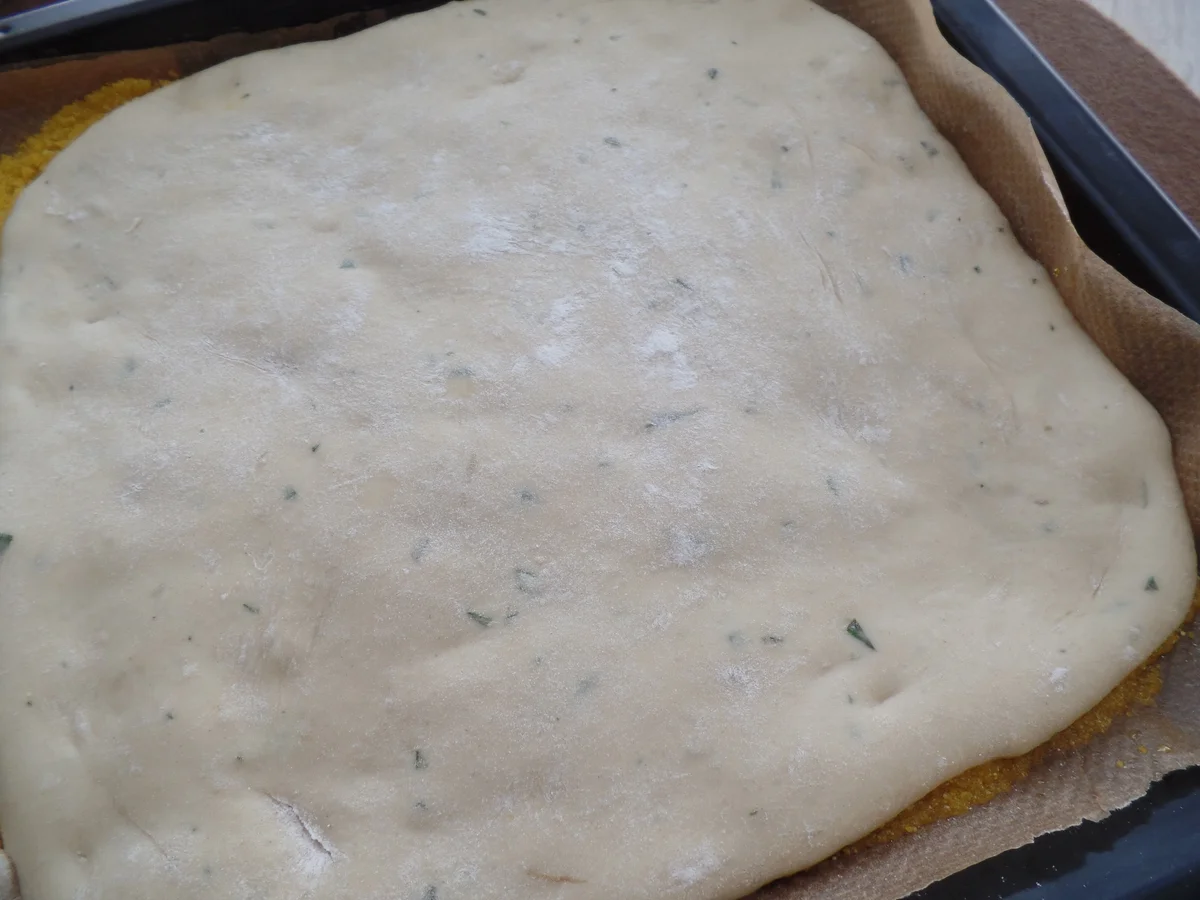 Rezept: Tomaten-Oliven-Focaccia Bild Nr. 5978 Tomaten-Oliven-Focaccia - Rezept - Bild Nr. 5978