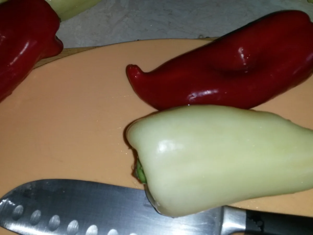 Paprika und Tomaten im überfluss,alles muss weg - Rezept - Bild Nr. 5974