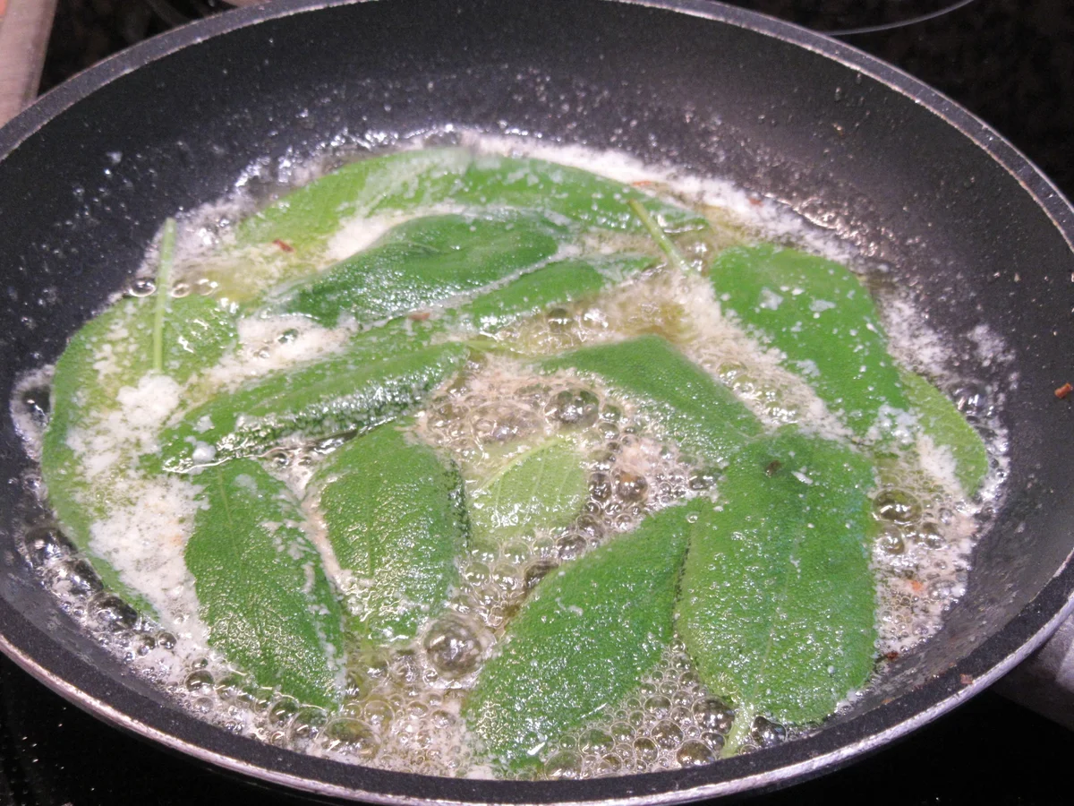 Pasta: Gefüllte Gnocchi mit Salbeibutter - Rezept - Bild Nr. 6046