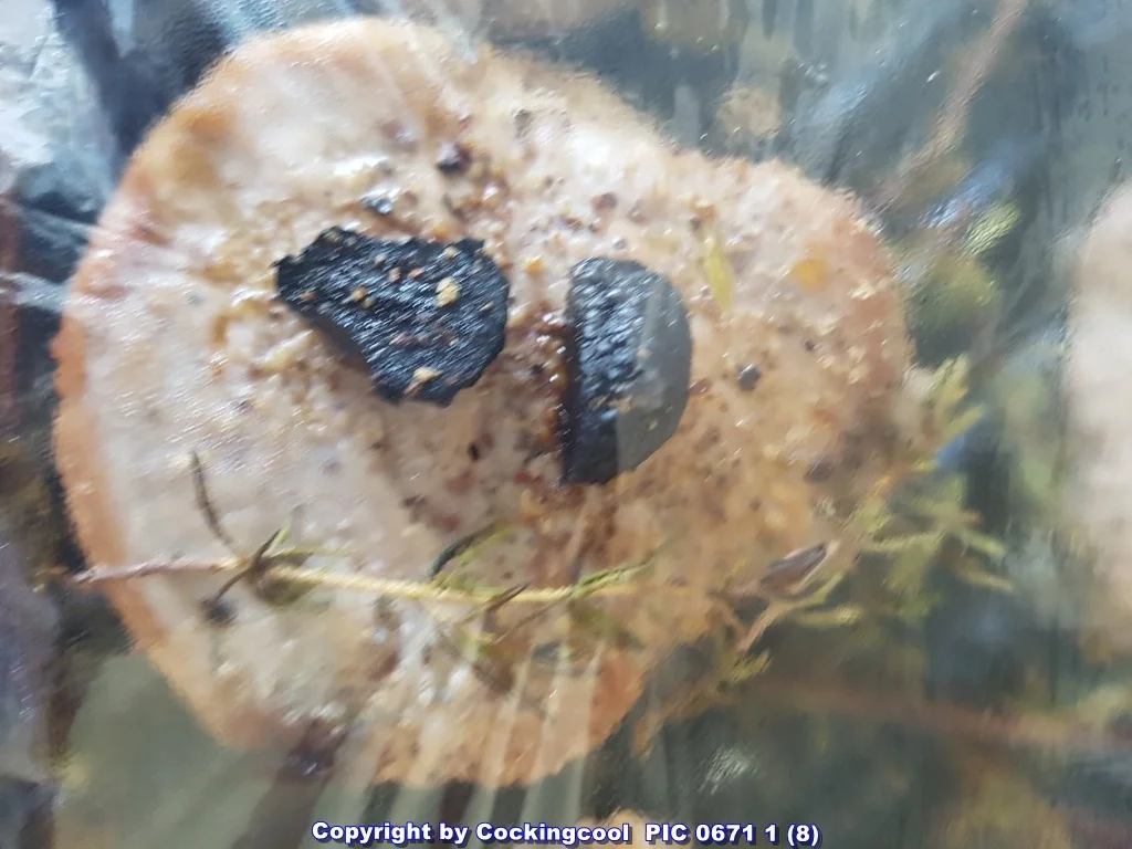 Rezept: Kalbsfilet à la Biggi Bild Nr. 9 Kalbsfilet à la Biggi - Rezept - Bild Nr. 9