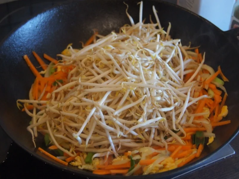 Mie-Nudeln mit Ei, Gemüse und Sprossen - Rezept - Bild Nr. 6045