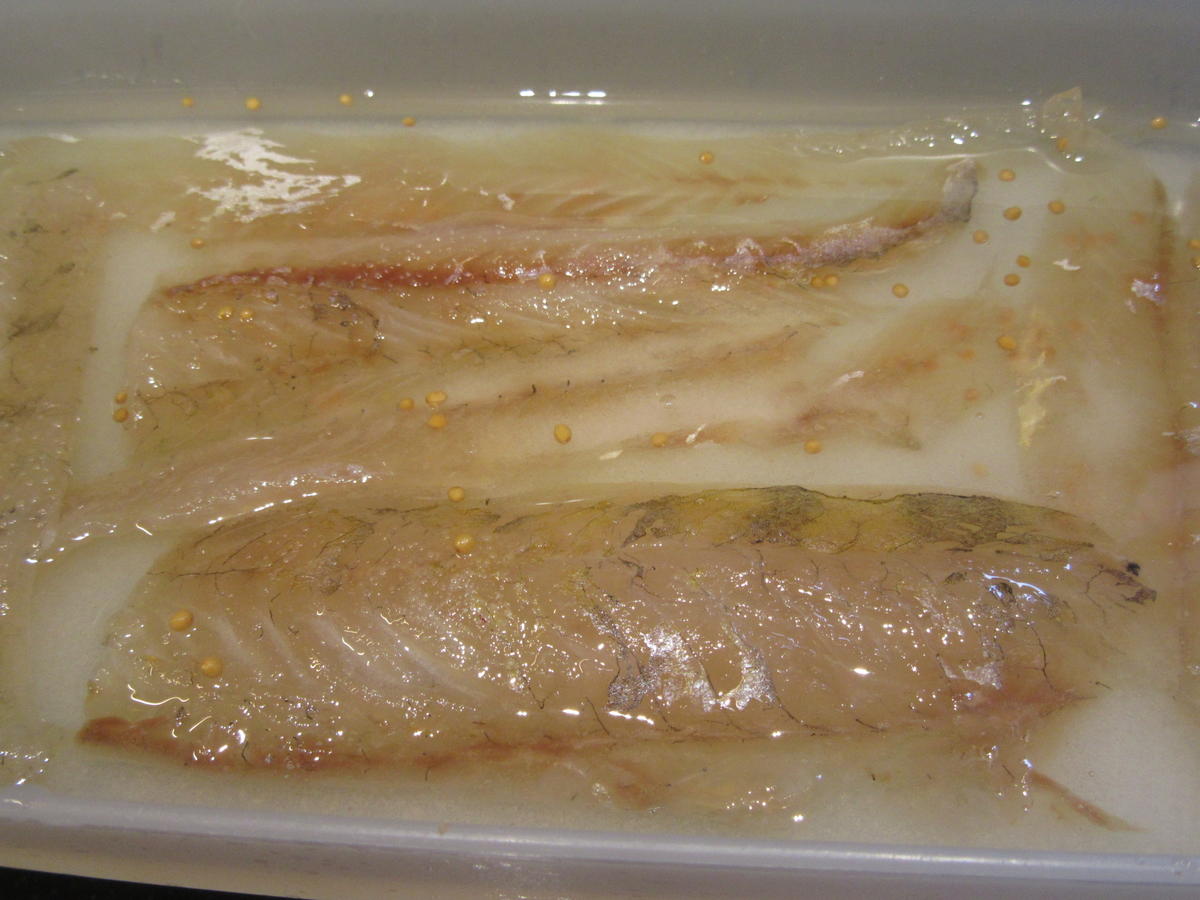 Fisch: Marinierter Zander - Rezept - Bild Nr. 6042