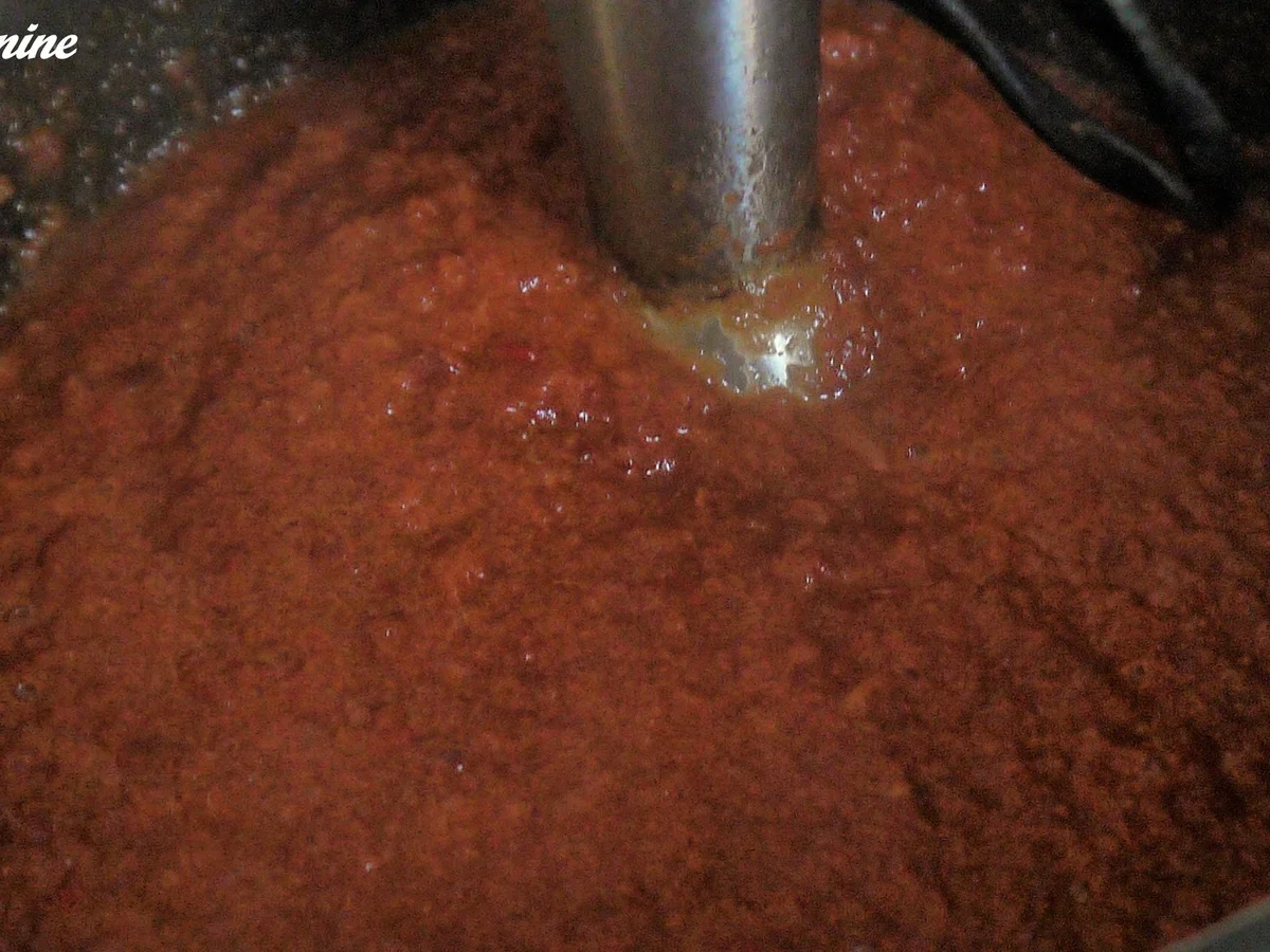 Apfel-Zwiebel-Creme - Rezept - Bild Nr. 10