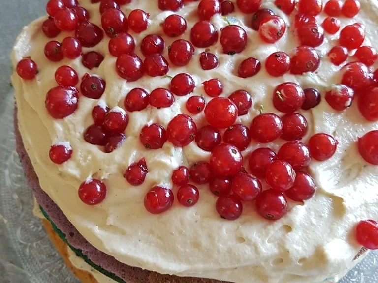 Biggi`s Spezial EIS = Eistorte - Rezept - Bild Nr. 6062