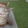 Latte Macchiato-Mousse-Türmchen - Rezept - Bild Nr. 6060