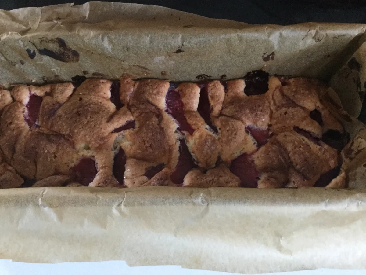 Einfacher Pflaumenkuchen mit Schuß - Rezept - Bild Nr. 6076