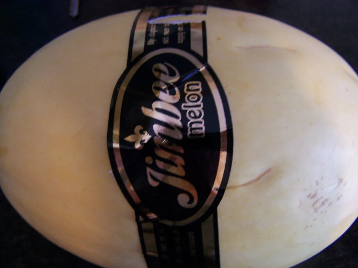 Rezept: Melonefiguren in schokoladiger Schale Bild Nr. 6080 Melonefiguren in schokoladiger Schale - Rezept - Bild Nr. 6080