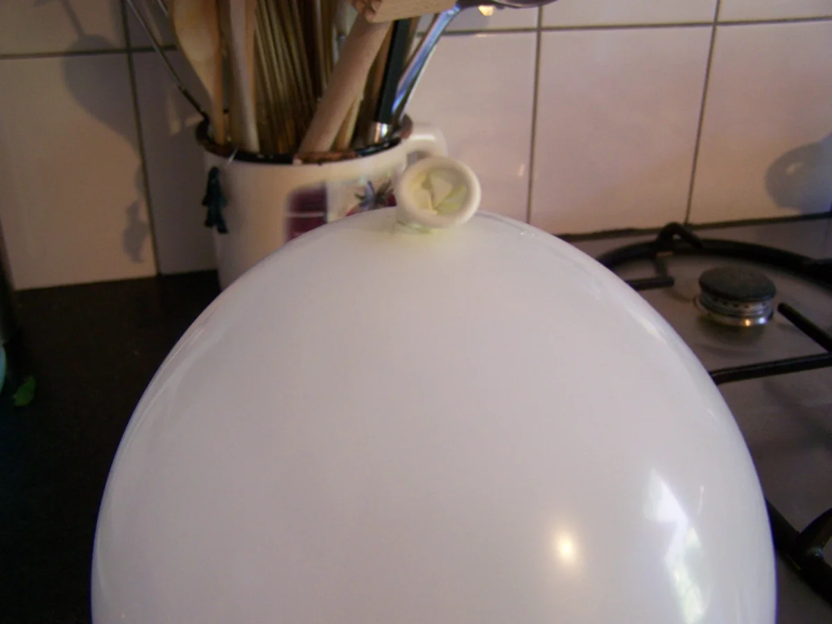 Rezept: Melonefiguren in schokoladiger Schale Bild Nr. 6086 Melonefiguren in schokoladiger Schale - Rezept - Bild Nr. 6086