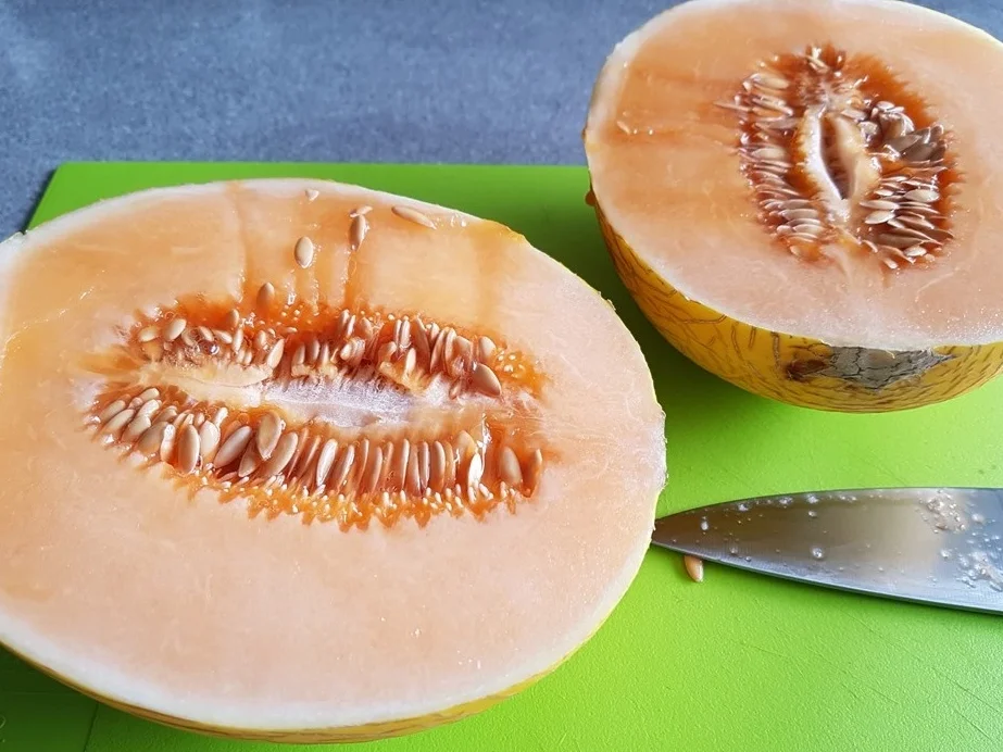 Obstsalat - Rezept - Bild Nr. 6083