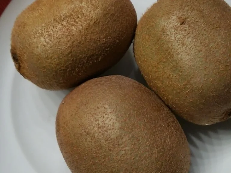 Obstsalat - Rezept - Bild Nr. 6084