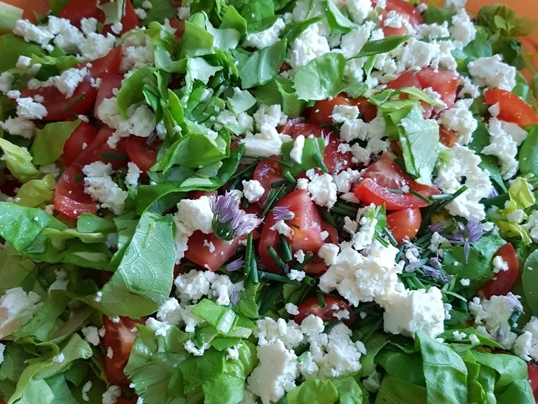 Rezept: Bauernsalat einfach und schnell angerichtet Bild Nr. 6093 Bauernsalat einfach und schnell angerichtet - Rezept - Bild Nr. 6093