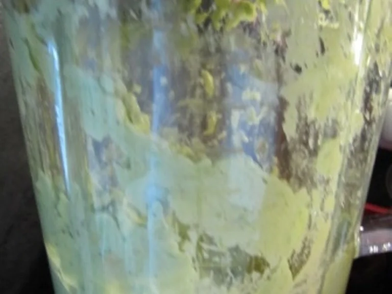 Rezept: Waldmeistereis Bild Nr. 5 Waldmeistereis - Rezept - Bild Nr. 5