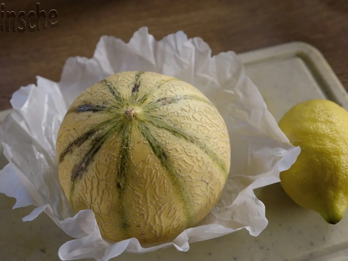 Rezept: Marinierte Melone an Joghurt-Sahne-Eis - HERRLICH- Bild Nr. 6104 Marinierte Melone an Joghurt-Sahne-Eis - HERRLICH- - Rezept - Bild Nr. 6104