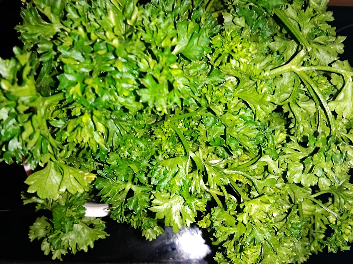 Rezept: Kugelrund und kerngesund Bild Nr. 6112 Kugelrund und kerngesund - Rezept - Bild Nr. 6112