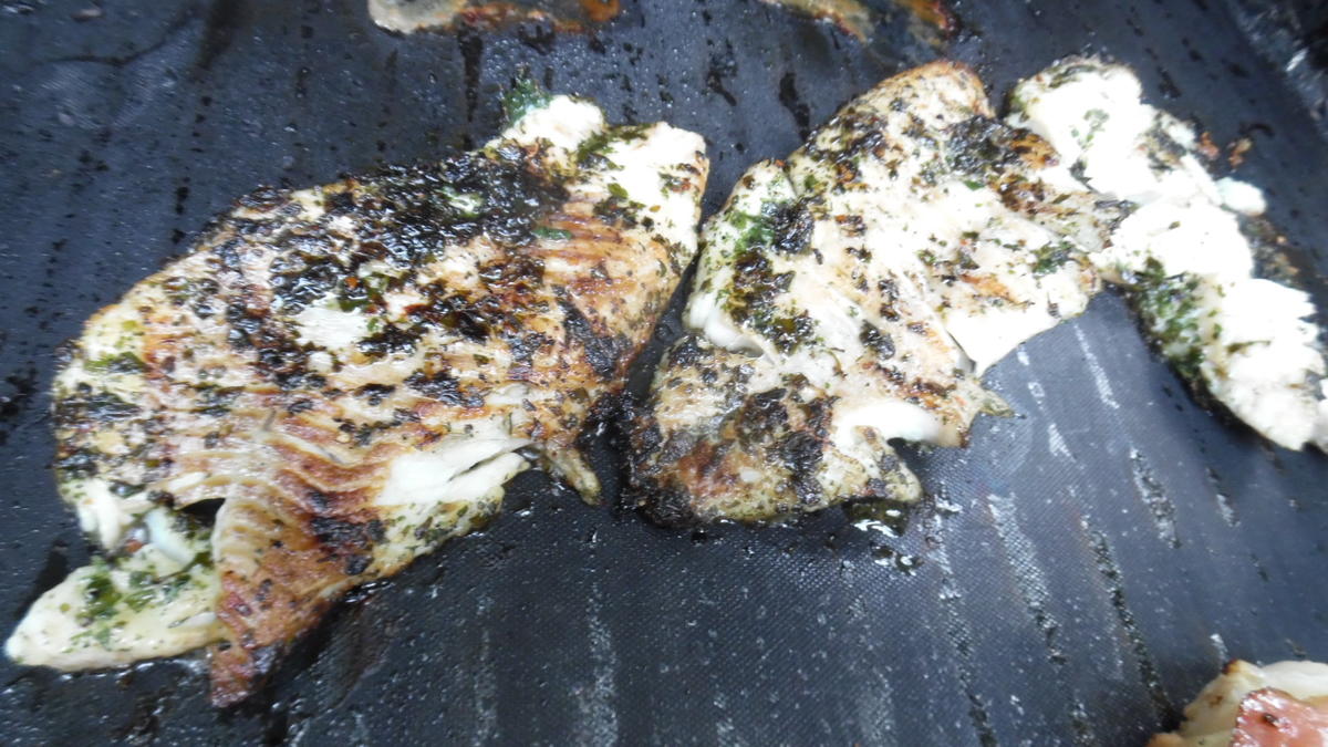 Fisch vom Grill mit Kartoffel-Gurkensalat - Rezept - Bild Nr. 6097