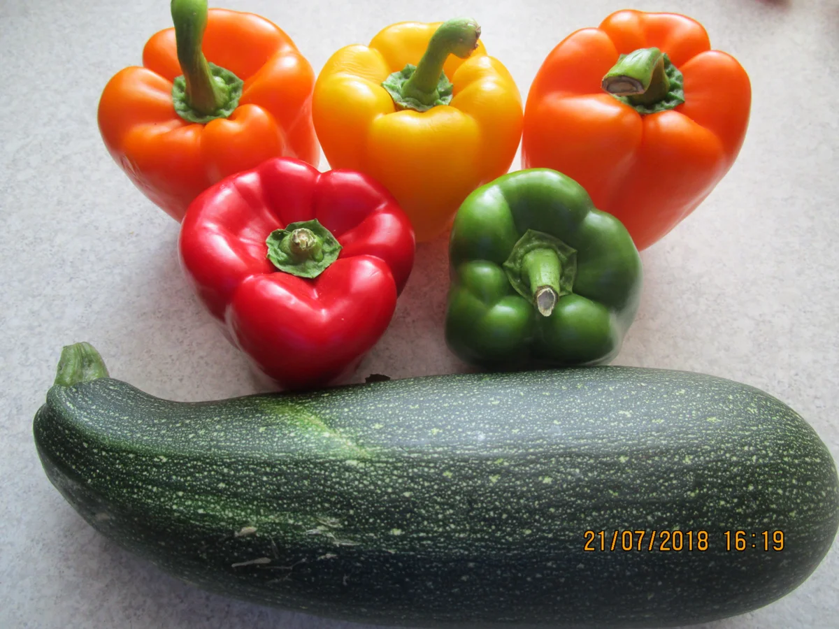 Eingemachtes: mexikanische Zucchini - Rezept - Bild Nr. 6105