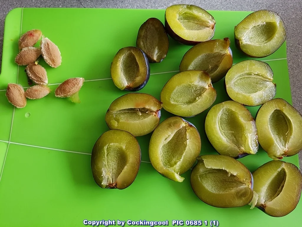 Rezept: Pflaumenkuchen mhhh (die ersten Pflaumen sind da) Bild Nr. 6111 Pflaumenkuchen mhhh (die ersten Pflaumen sind da) - Rezept - Bild Nr. 6111