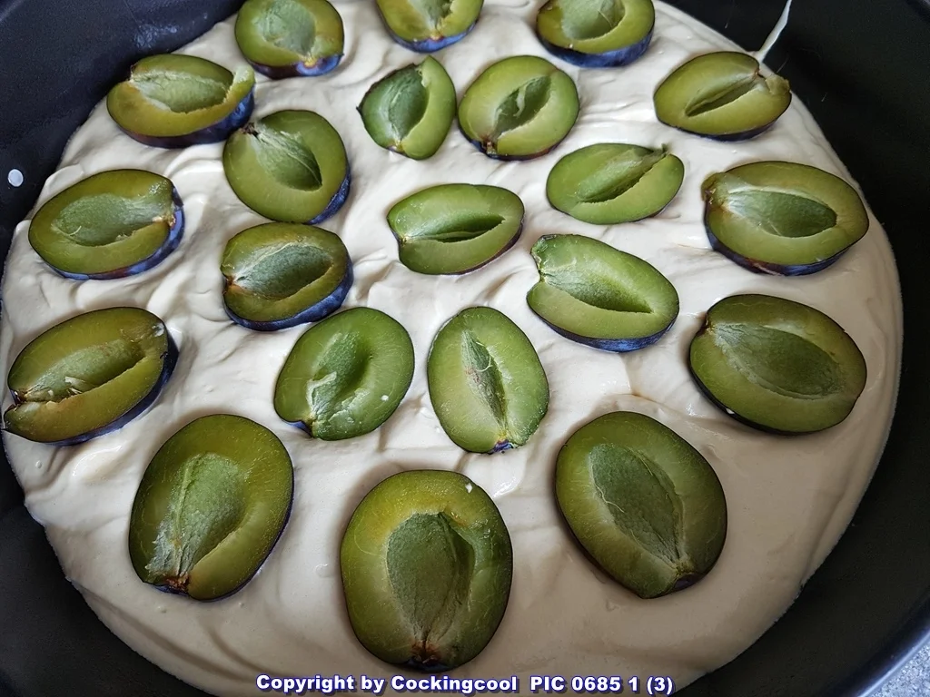 Rezept: Pflaumenkuchen mhhh (die ersten Pflaumen sind da) Bild Nr. 6113 Pflaumenkuchen mhhh (die ersten Pflaumen sind da) - Rezept - Bild Nr. 6113