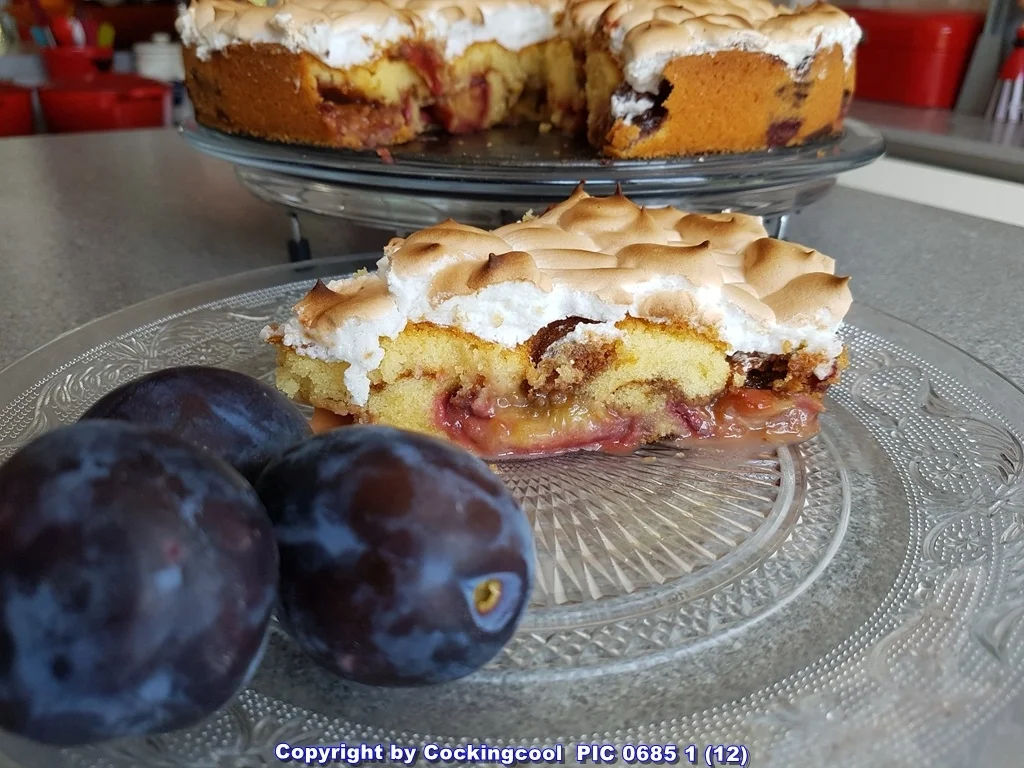 Rezept: Pflaumenkuchen mhhh (die ersten Pflaumen sind da) Bild Nr. 6122 Pflaumenkuchen mhhh (die ersten Pflaumen sind da) - Rezept - Bild Nr. 6122