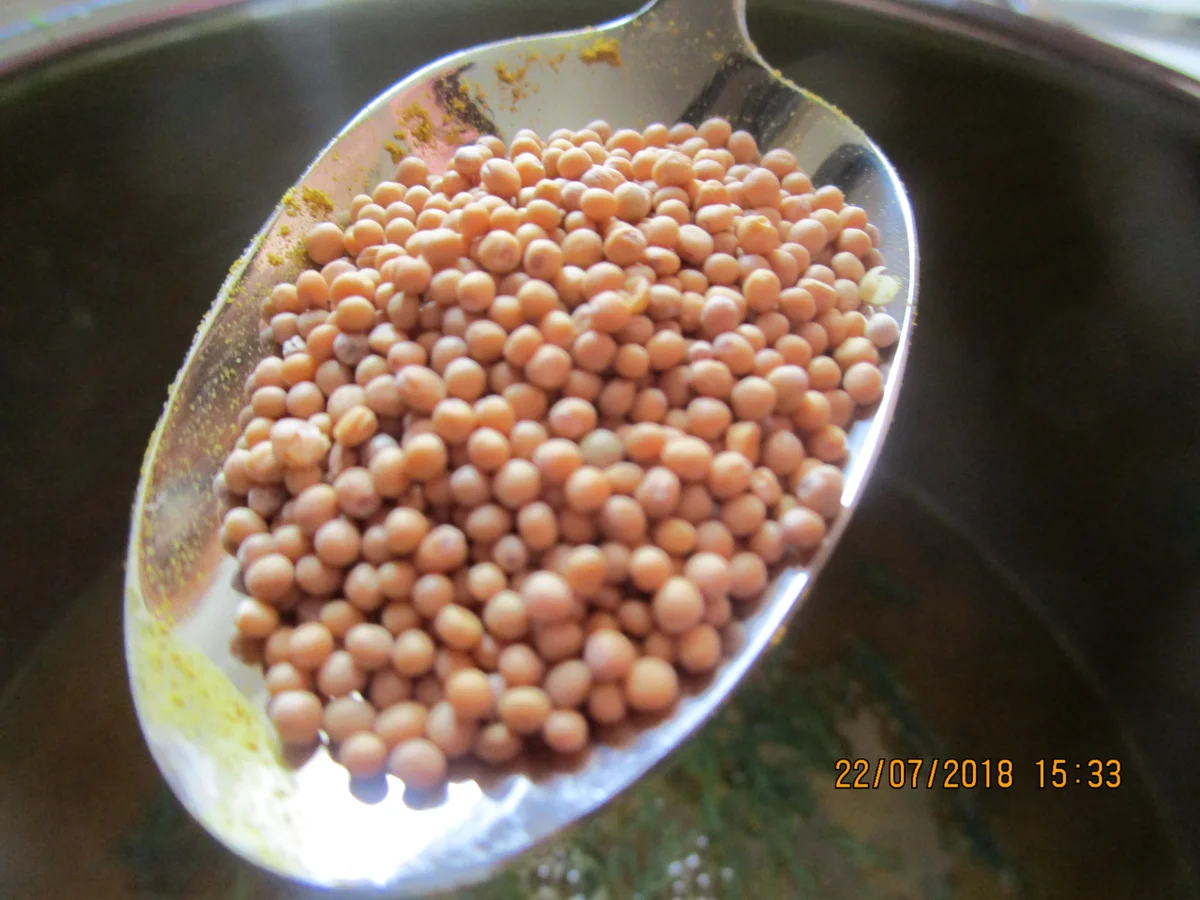 Rezept: Eingemachtes: süß-sauer eingelegte Zucchini Bild Nr. 6126 Eingemachtes: süß-sauer eingelegte Zucchini - Rezept - Bild Nr. 6126